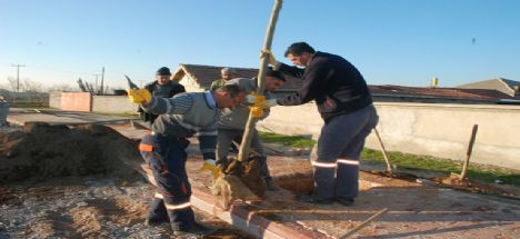 Karatay’da 145 çınar ağacı toprakla buluştu