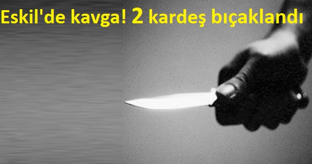 Eskil'de 2 kişi bıçaklandı