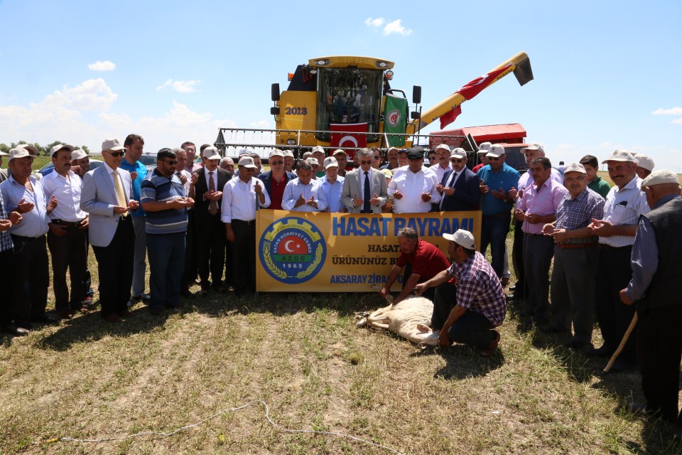 Aksaray’da Hasat Bayramı