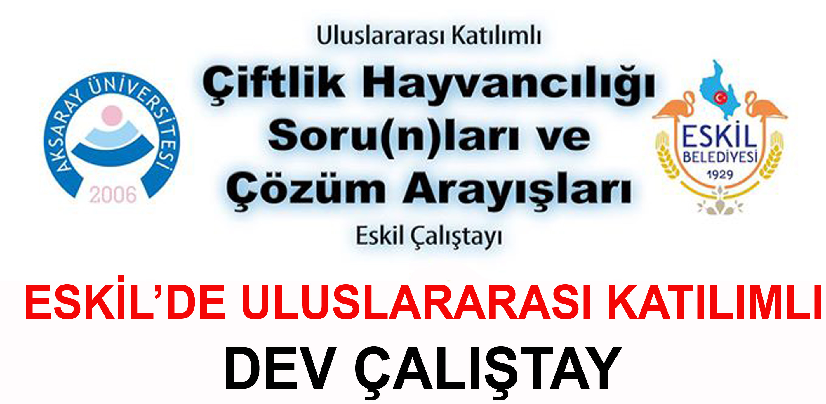 Eskil’de Uluslararası Dev Çalıştay!