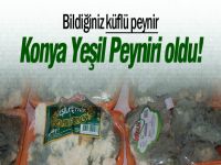 Konya Yeşil Peyniri kamuoyuna tanıtıldı