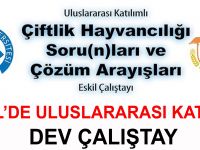 Eskil’de Uluslararası Dev Çalıştay!