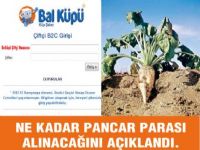 Kim ne kadar pancar parası alacak?